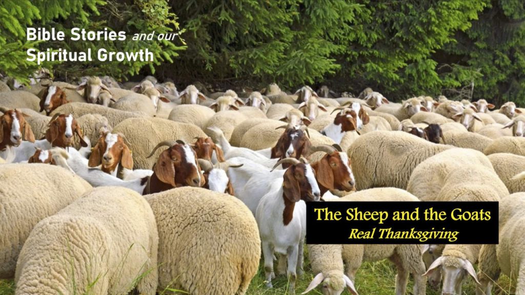 The Sheep and the Goats – Real Thanksgiving | Bible Stories and Our Spiritual Growth